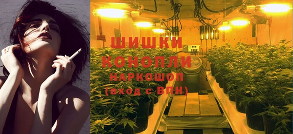 первитин Осинники