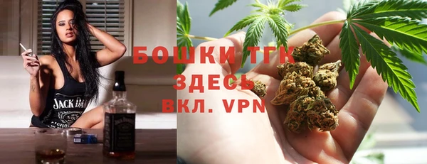 ешки Аркадак