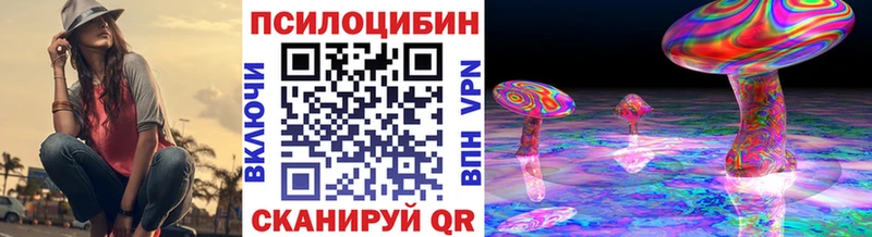 купить закладку  Губаха  Галлюциногенные грибы прущие грибы 