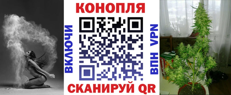 купить наркоту  Губаха  кракен рабочий сайт  Шишки марихуана индика 